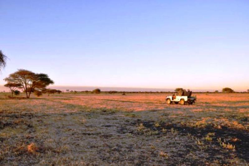 Отель Dornhuegel Guestfarm Grootfontein Экстерьер фото