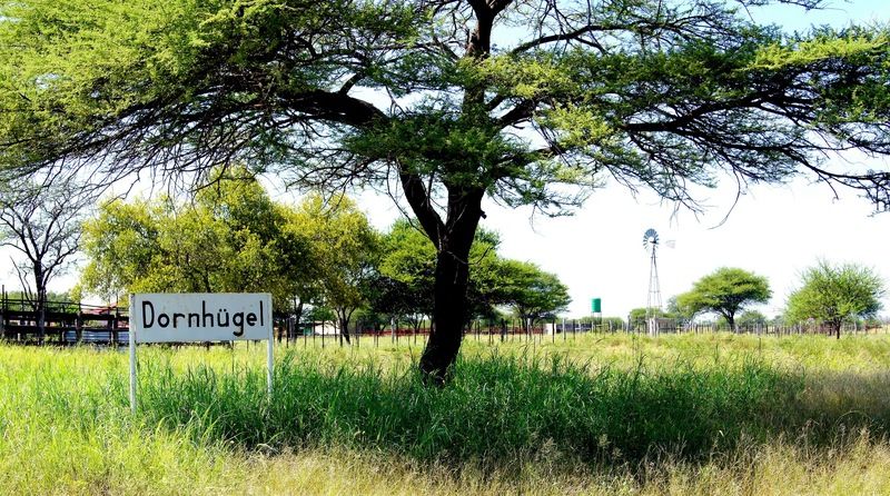 Отель Dornhuegel Guestfarm Grootfontein Экстерьер фото