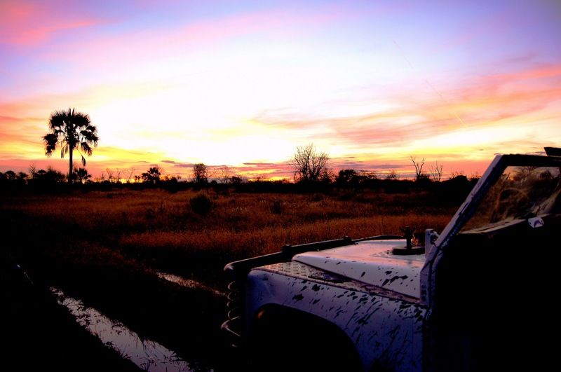 Отель Dornhuegel Guestfarm Grootfontein Экстерьер фото